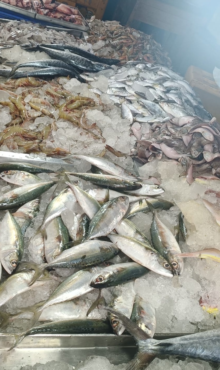 FISH