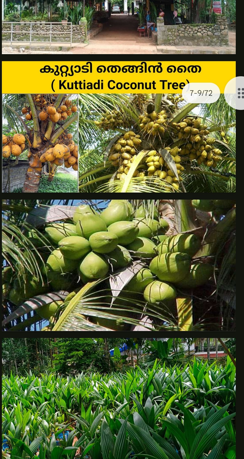 kuttiyadi thangine thayi