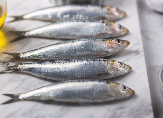 Sardine/മത്തി delivery available 