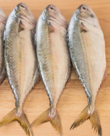 Mackerel/അയല delivery available 