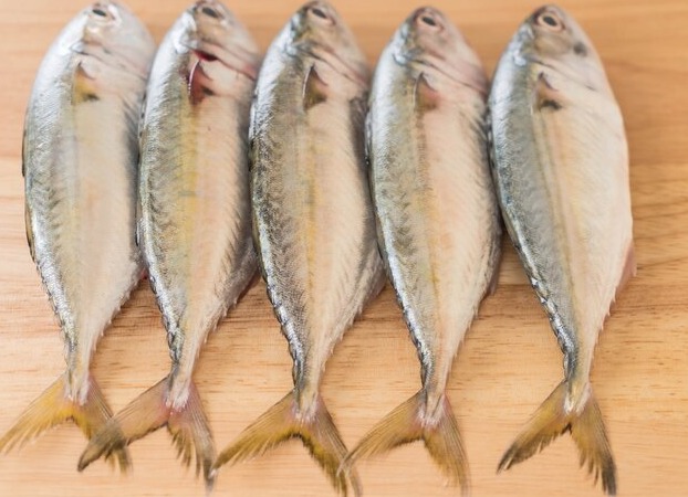 Mackerel/അയല delivery available 