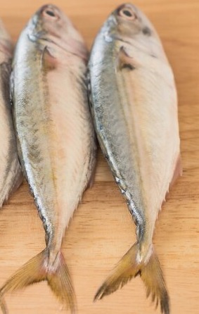 Mackerel/അയല delivery available 