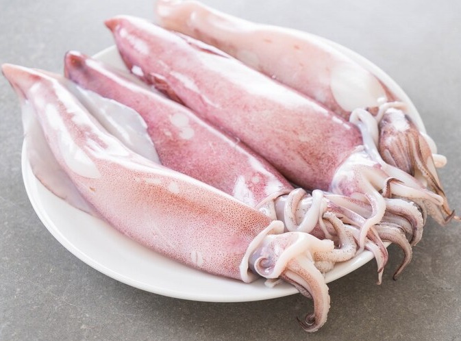 SQUID/കൂന്തൾ delivery available