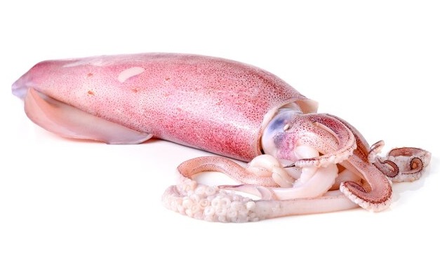SQUID/കൂന്തൾ delivery available