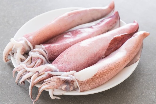 SQUID/കൂന്തൾ delivery available