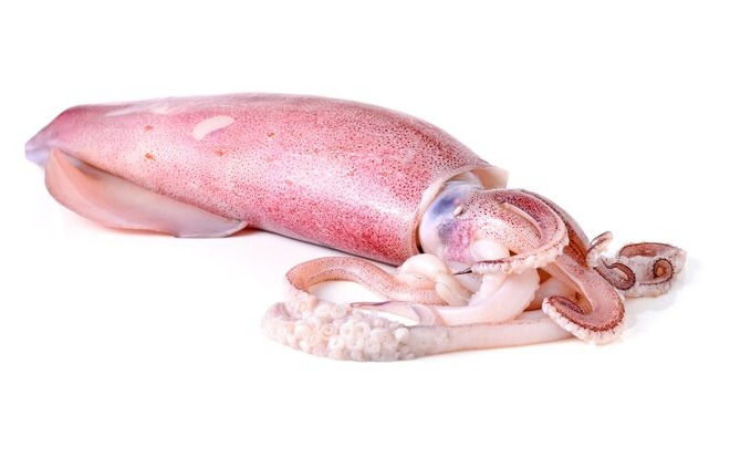 SQUID/കൂന്തൾ delivery available