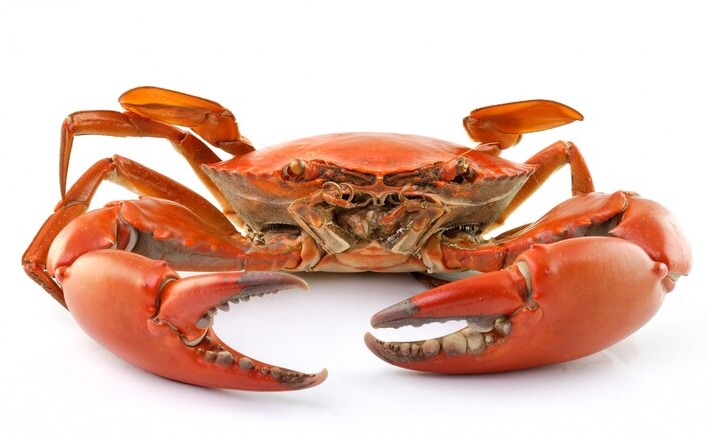CRAB/ഞണ്ട് delivery available  