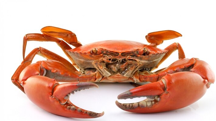 CRAB/ഞണ്ട് delivery available  