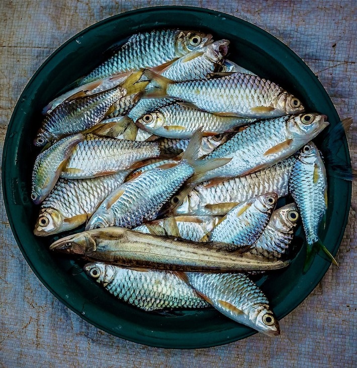 Payyathi/പയ്യത്തി delivery available 