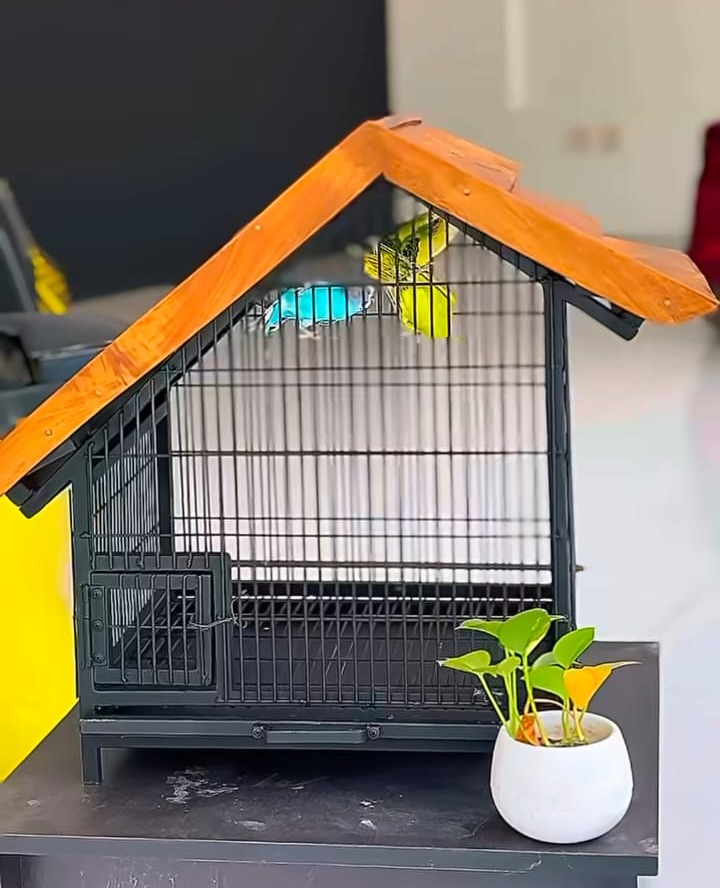 Metal Furniture Trivandrum,Metal Furniture Palode Trivandrum, Art On Metal 