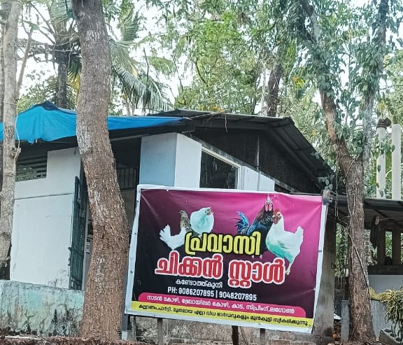 Chicken Stall Kandothkuni Kakkattil,Chicken Shop Kandothkuni Kakkattil,Kozhi Farm  Kandothkuni Kakkattil,Pravasi Chicken Stall 