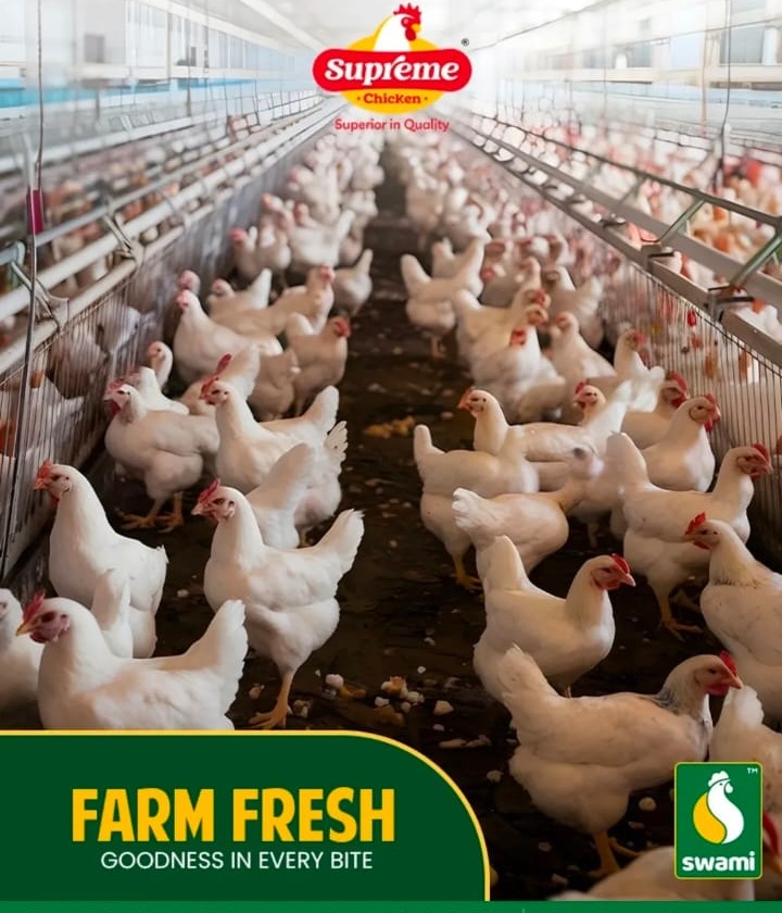 Poultry farm tirupur,Chicken farm tirupur,Swami Feeds tirupur