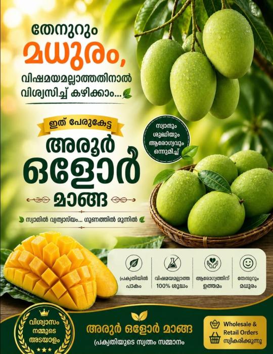 Aroor olor mango, അരൂർ ഒളോർ മാങ്ങ, Aroor olor mango Delivery Avilable wholesale  and Retail