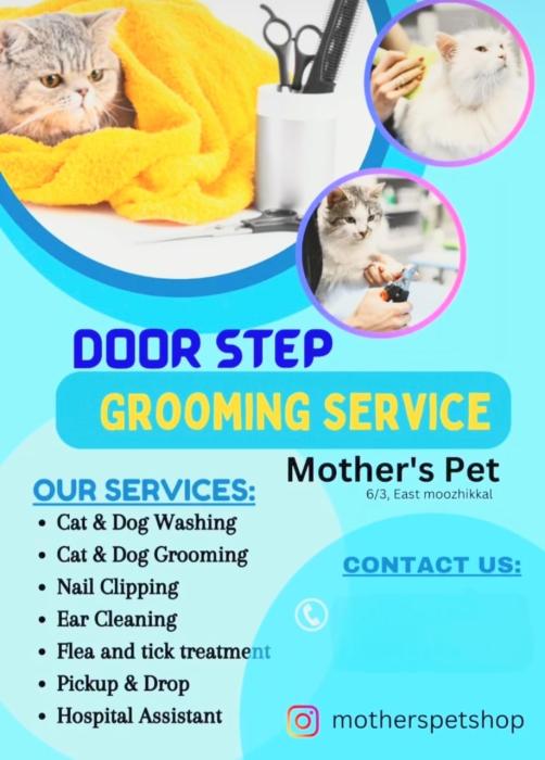  Pet shop in Calicut, Aquarium Dog & Cat food shop in Moozhikkal Calicut,  Mithu's Pet shop Calicut, MP Pet Shop  