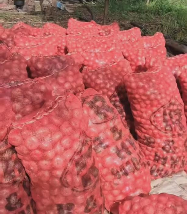 ​Onion wholesale supplier store Hyderabad, onion agent and supply store Hyderabad, ​Ravi and Company onion 