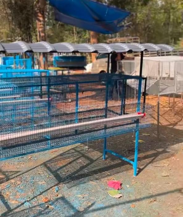 Poultry cages in thrissur,Hi tech cage manufactures in thrissur,Poultry accessories in thrissur,Hi tech cage all kerala distributors,Flywell Poultry Accessories 