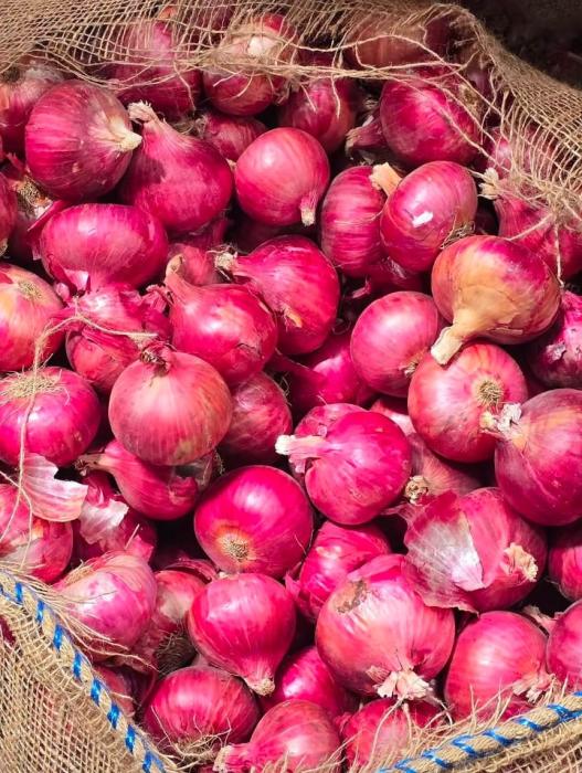 Onion wholesaler in solapur maharashtra,Onion supplier in  solaur maharashtra,Onions all India delivery,ASD Trading Company 