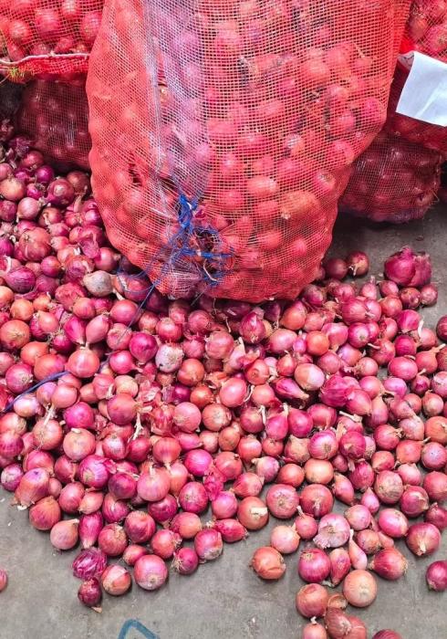 Onion wholesaler in solapur maharashtra,Onion supplier in  solaur maharashtra,Onions all India delivery,ASD Trading Company 