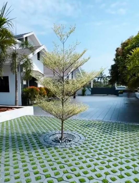  Interlock and Hollow bricks supplier in mannur valav feroke calicut,Malabar Trading