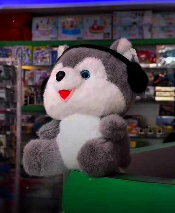 Toy Store in Moonniyur,Gift Shop in Moonniyur,Mic Metro