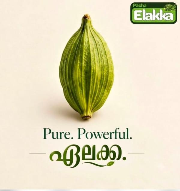  Elakka  wholesale and retail sale in irinjalakuda thrissur,Cardamom dealer in irinjalakuda thrissur,Spices and Nuts sales in irinjalakuda thrissur,Pacha Elakka 