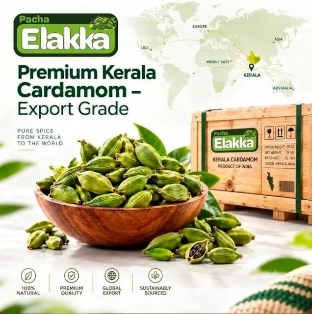  Elakka  wholesale and retail sale in irinjalakuda thrissur,Cardamom dealer in irinjalakuda thrissur,Spices and Nuts sales in irinjalakuda thrissur,Pacha Elakka 