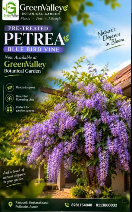 Botanical Garden in Panavely,Plants and Pots wholesale supplier in Panavely,Green Valley Botanical Garden 