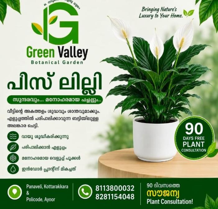 Botanical Garden in Panavely,Plants and Pots wholesale supplier in Panavely,Green Valley Botanical Garden 