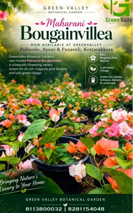 Botanical Garden in Panavely,Plants and Pots wholesale supplier in Panavely,Green Valley Botanical Garden 
